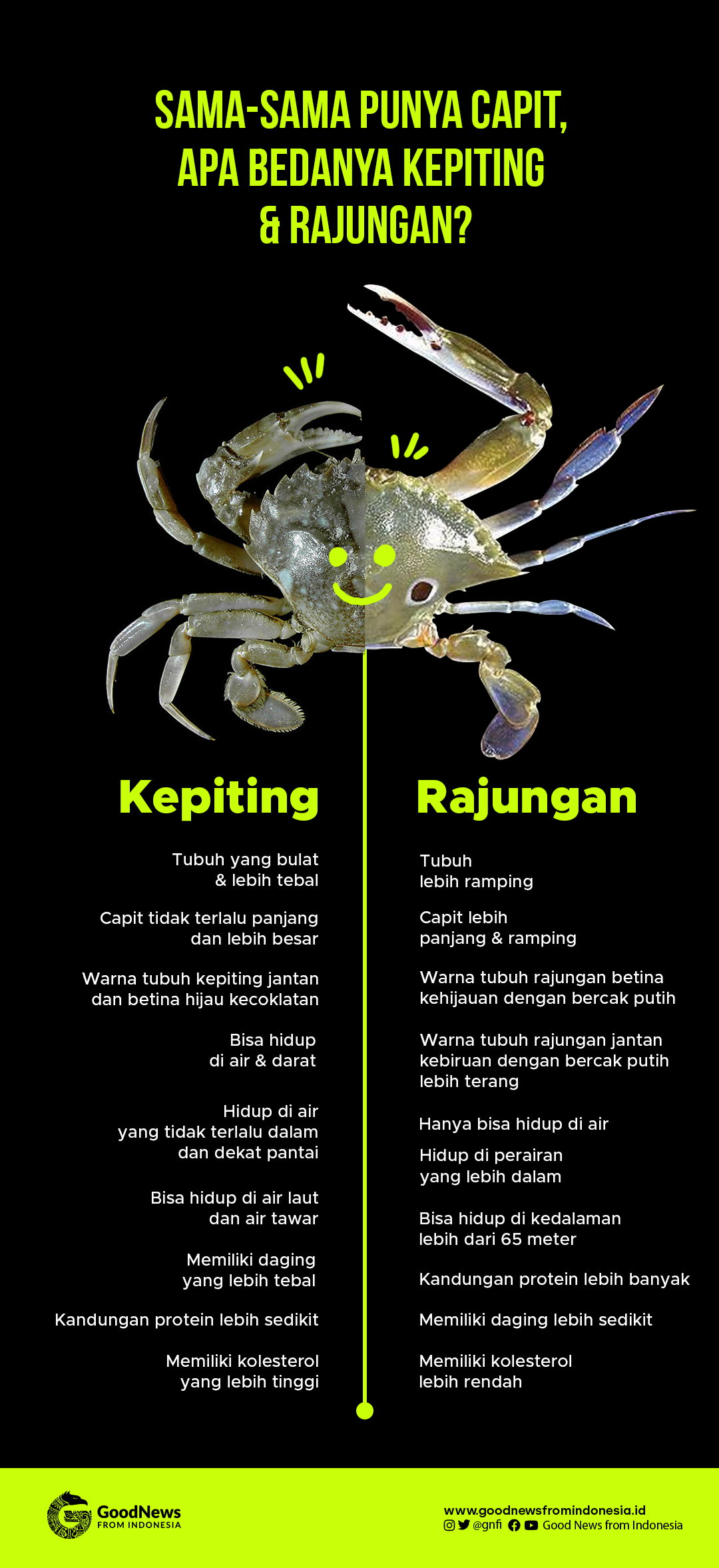 Mengupas Perbedaan Kepiting dan Rajungan
