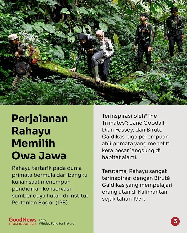 Rahayu Oktaviani, Peneliti Owa Jawa Peraih Penghargaan Bergengsi Whitley Awards 2025