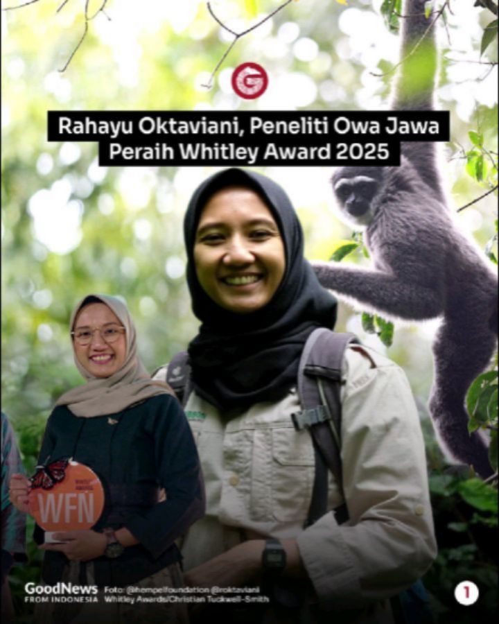 Rahayu Oktaviani, Peneliti Owa Jawa Peraih Penghargaan Bergengsi Whitley Awards 2025