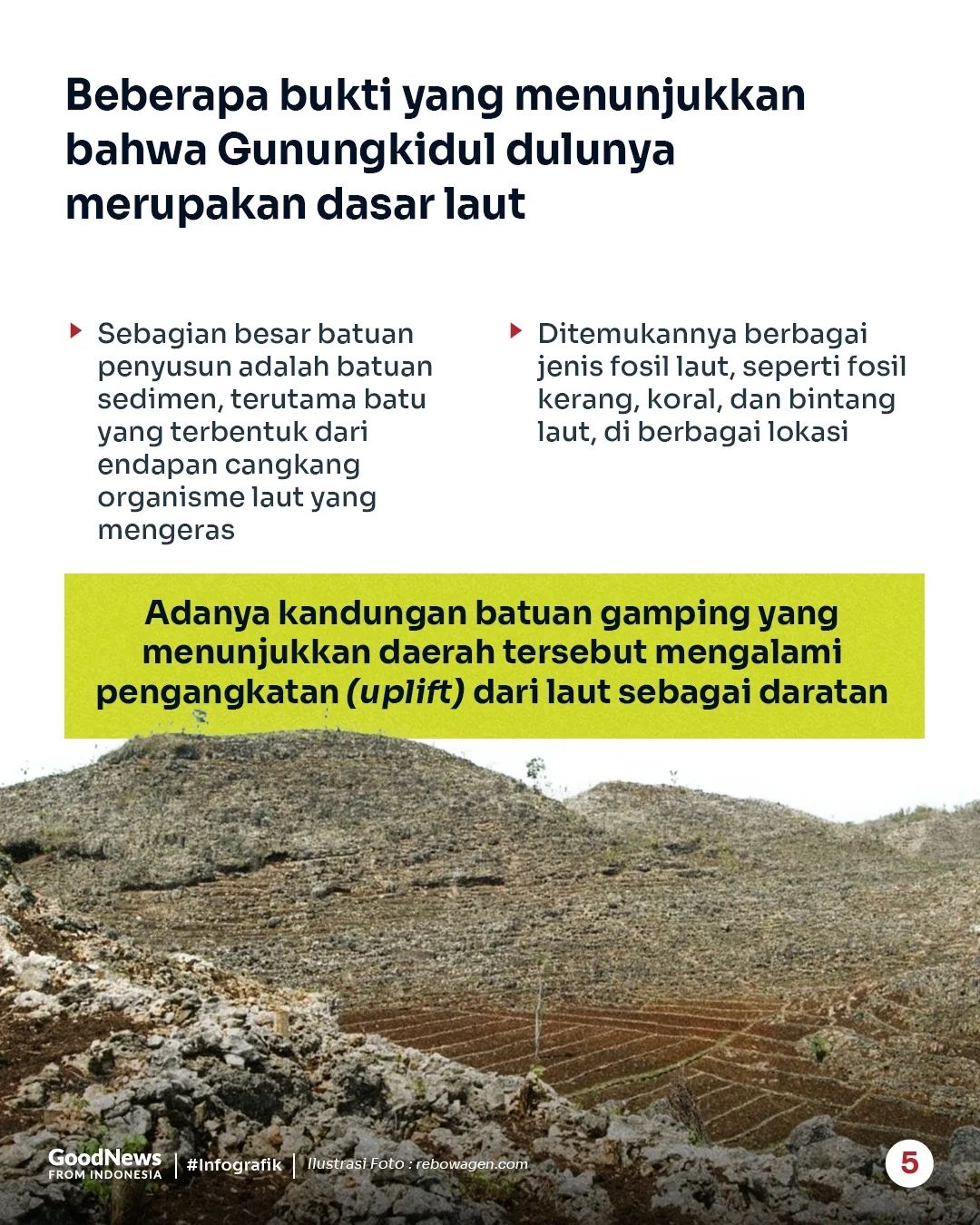 Sejarah Gunungkidul, Ternyata Dulunya adalah Laut!