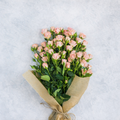 Aminah Shalihah Salwa