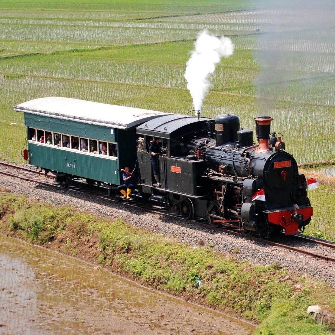 Visitors can also enjoy a sightseeing journey aboard a tourist train pulled by a steam locomotive.