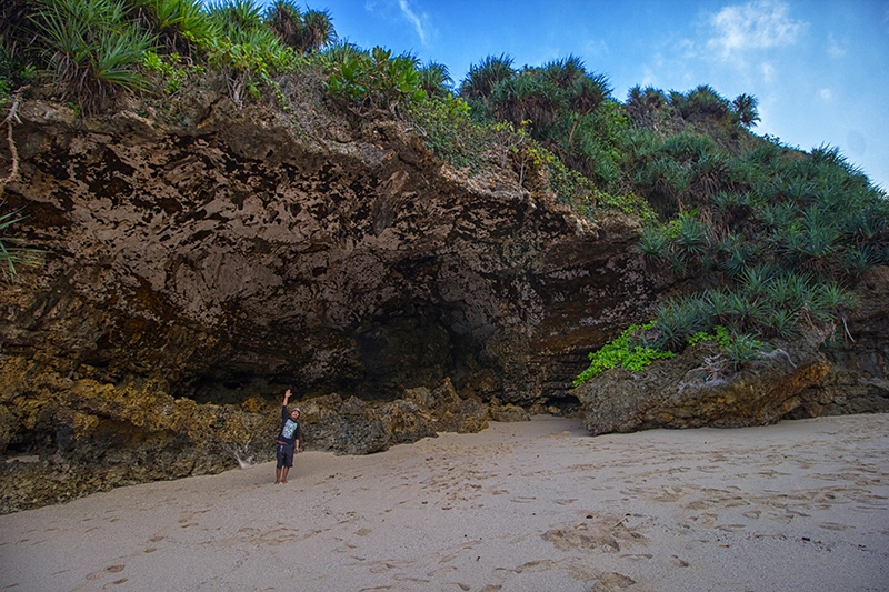 Source: Spade Picnic