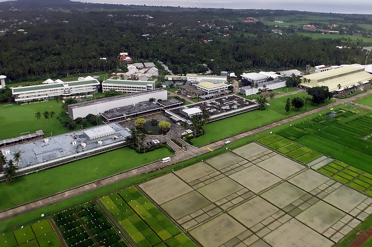 IRRI Campus Aerial Photo