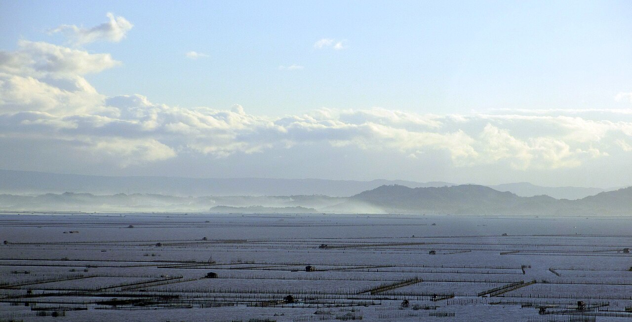 Morning View in Laguna de Bay