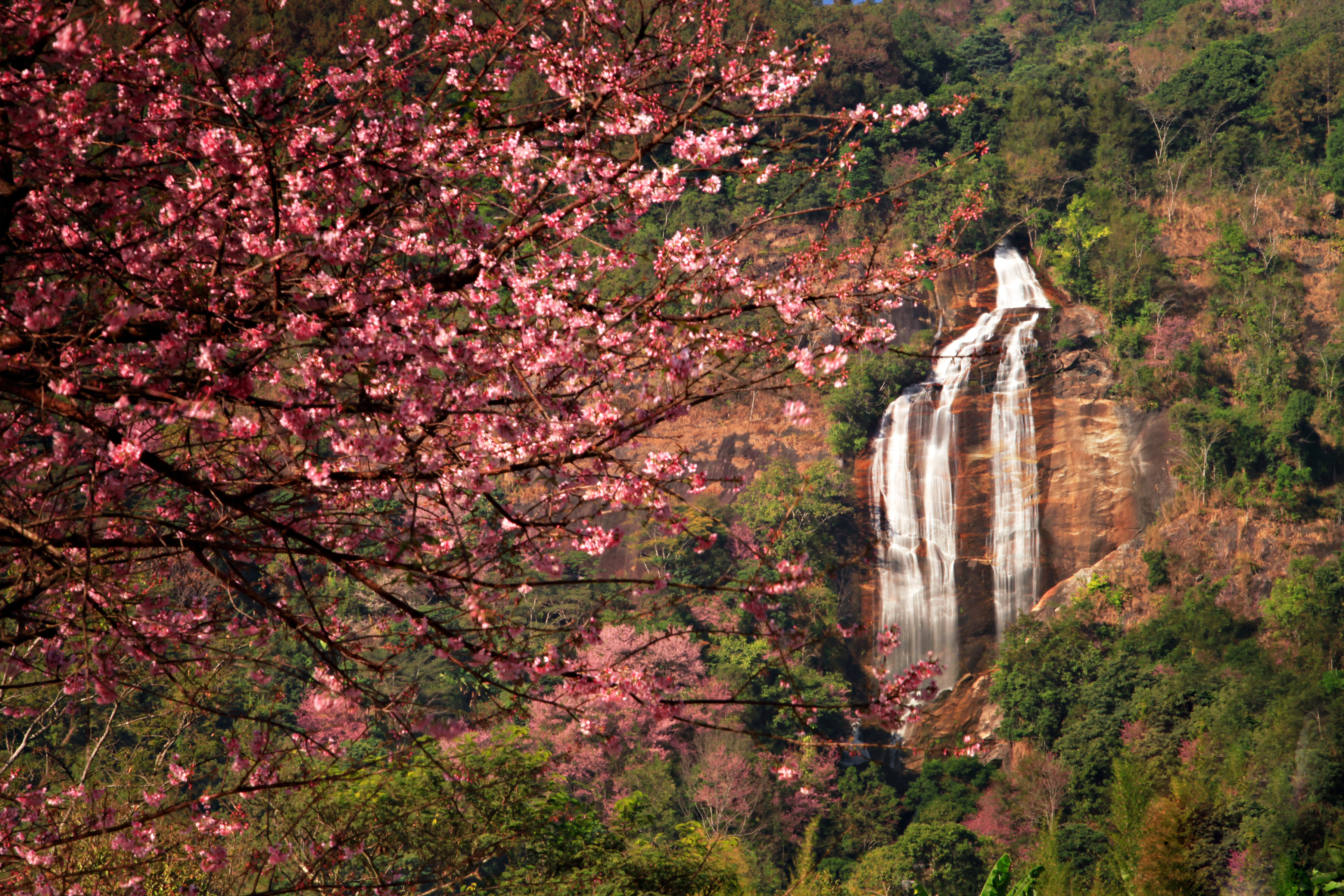 Waterfall view at Doi Inthanon National Park