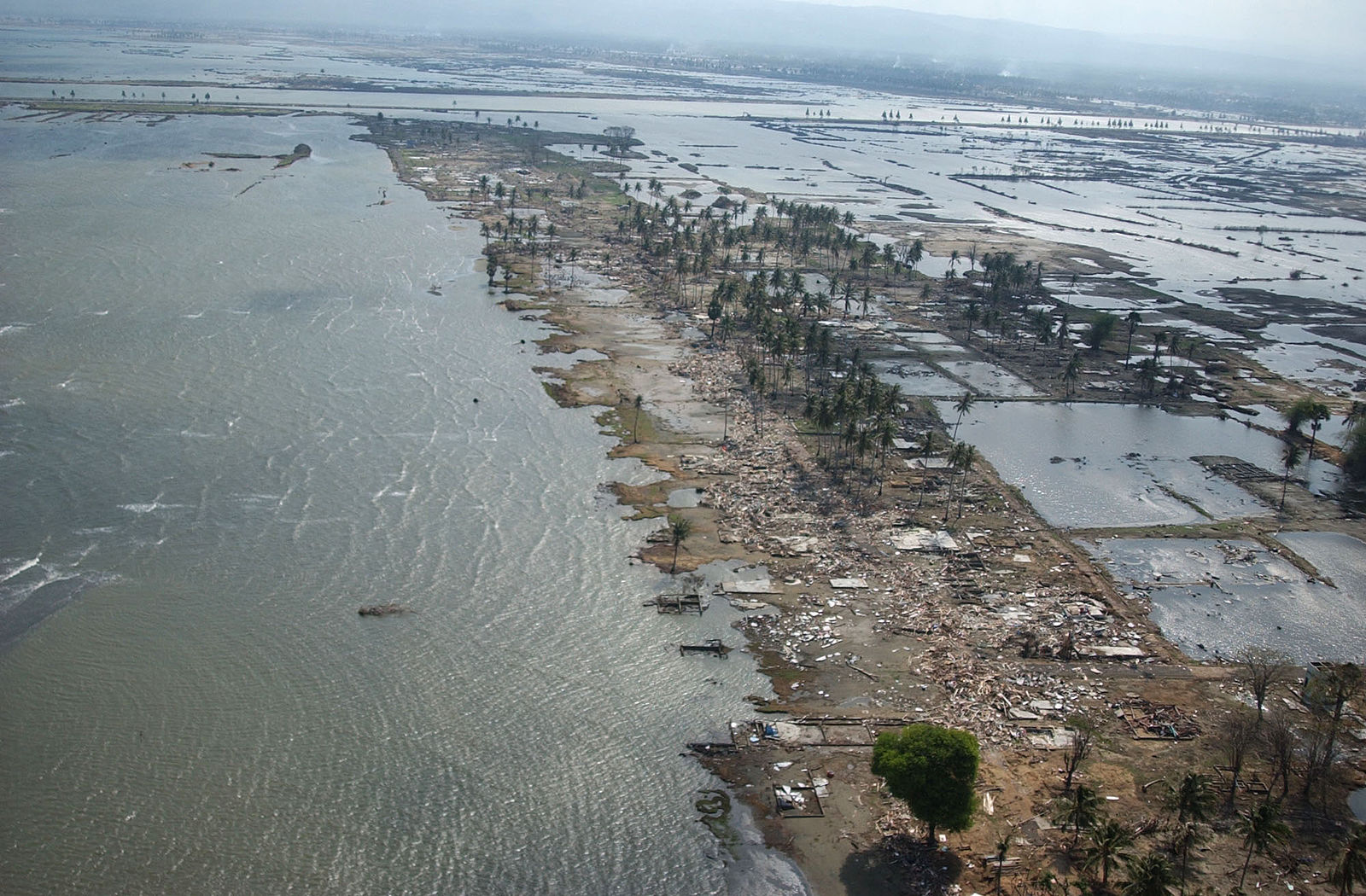 Six Weeks after the tsunami hit Aceh, Indonesia | Credit: Wikimedia Commons