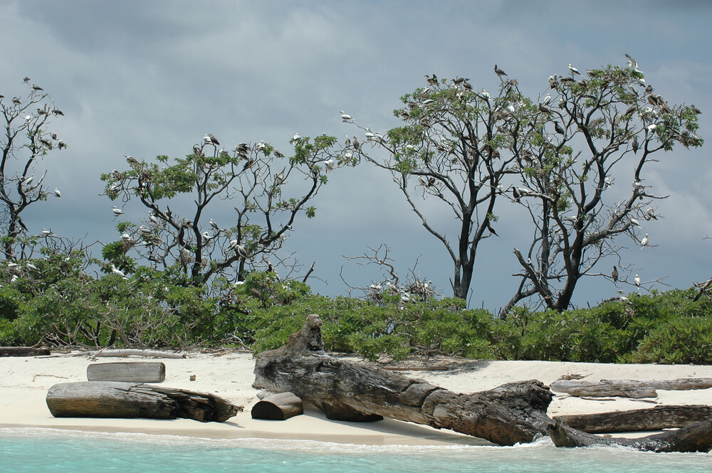 Tubbataha Reefs Natural Park (unesco.org/Ron Van Oers)