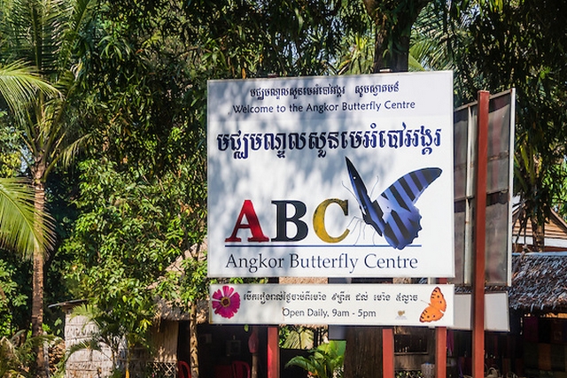 Photo via TNK Travel