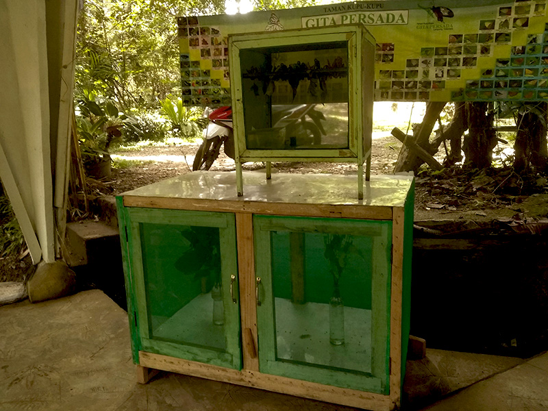 Photo by Chairul Rahman Arif/UKPM Teknokra via Mongabay