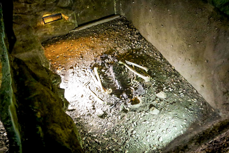 Human skeletons in The Lenggong Archaeological Museum | Discover Malaysia UNESCO