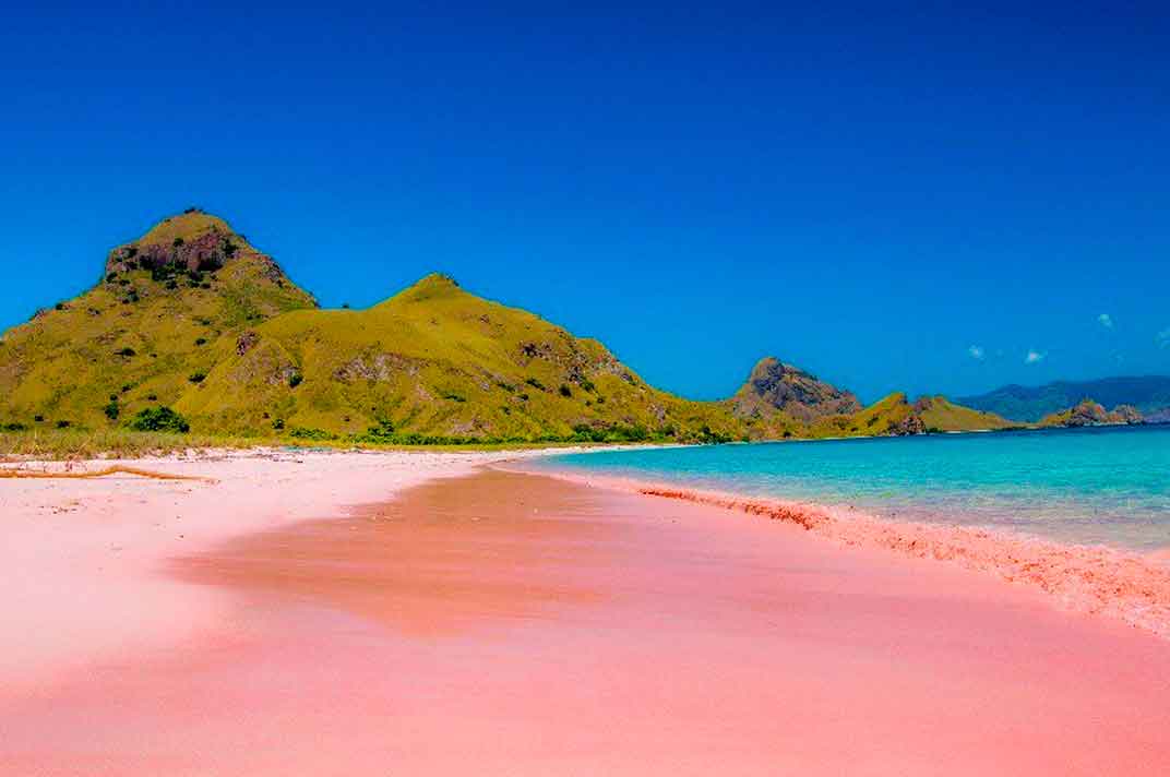 Pink Beach Komodo National Park