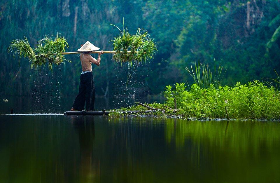 'Farmer', collecting plants in Tangerang, Indonesia. Finalist. PHOTO: @GEOROCK888, INDONESIA - AGORA