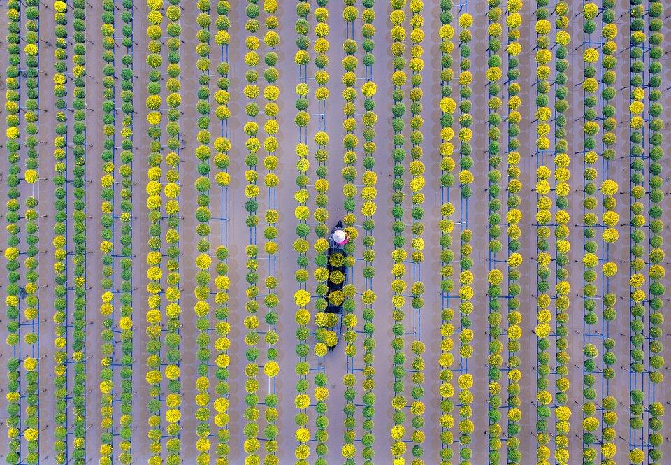 'Farmers grow flowers and prepare to sell them in the market' in Sa Dec, Dong Thap, Vietnam. ... [+] PHOTO: @ANHTRUNGQNG, VIETNAM - AGORA