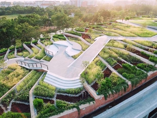 The rooftop farm at Thammasat University in Rangsit. Image: Facebook/Landprocess