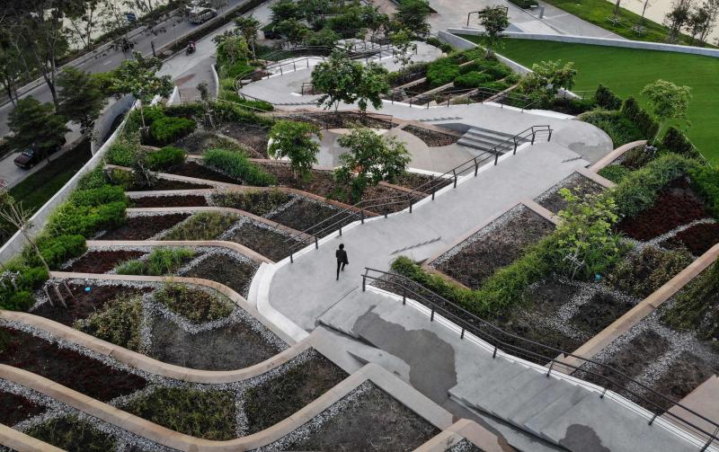 n aerial photo taken on Feb 7, 2020, shows architect Kotchakorn Voraakhom walking on the Thammasat Urban Farming Green Roof at Thammasat University in Pathum Thani, Thailand. Image: AFP