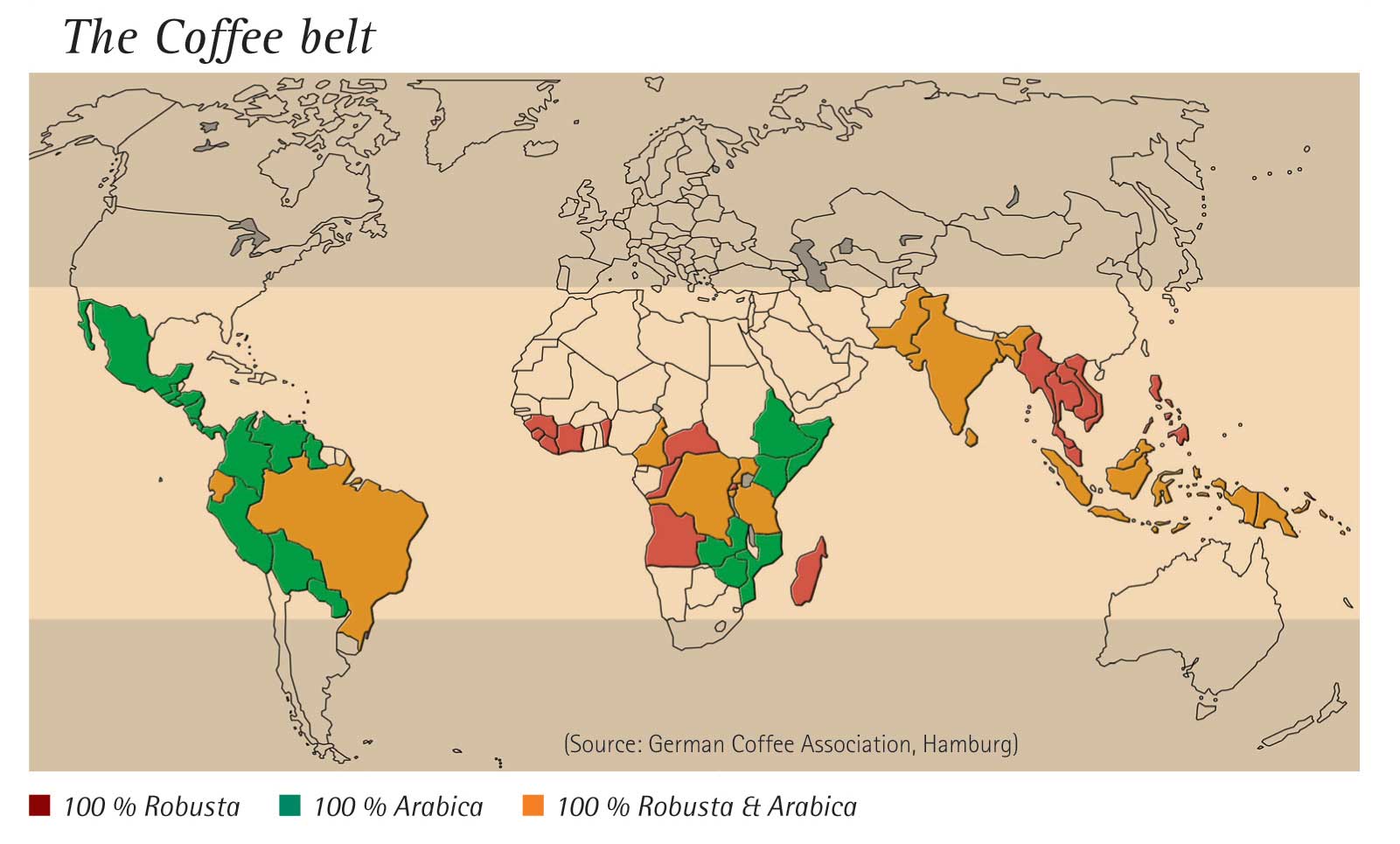 The Type of Coffee Beans producing in The Coffee Belt countries 